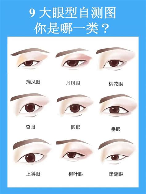 鳳眼特徵|眼型:眼型，即眼睛的類型、分類，主要有桃花眼，瑞。